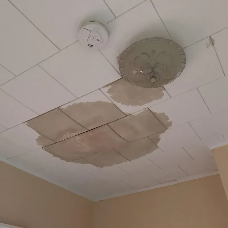 Ceiling Water Damage Repair in Middleport, NY