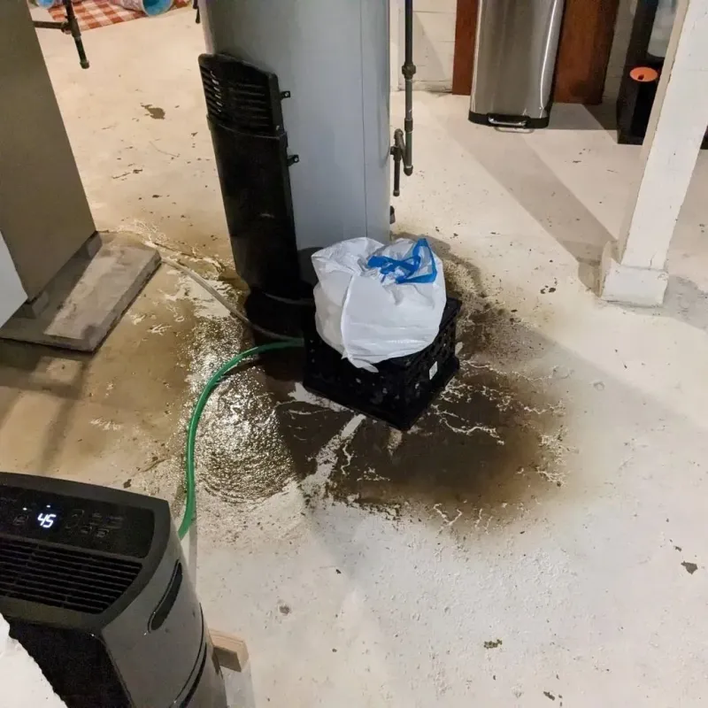 Sewage Backup Cleanup Service in Middleport, NY